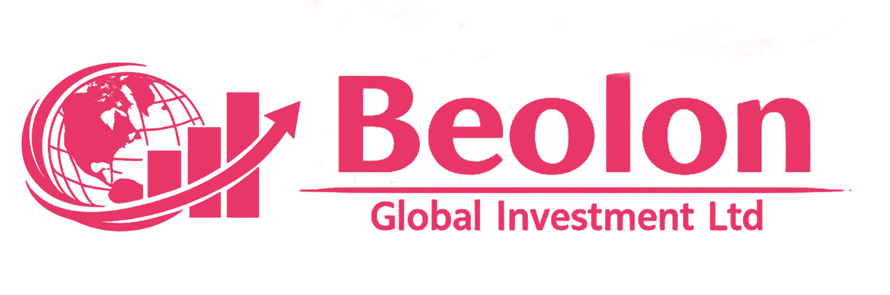 https://global.beolon.com/assets/Beolon global